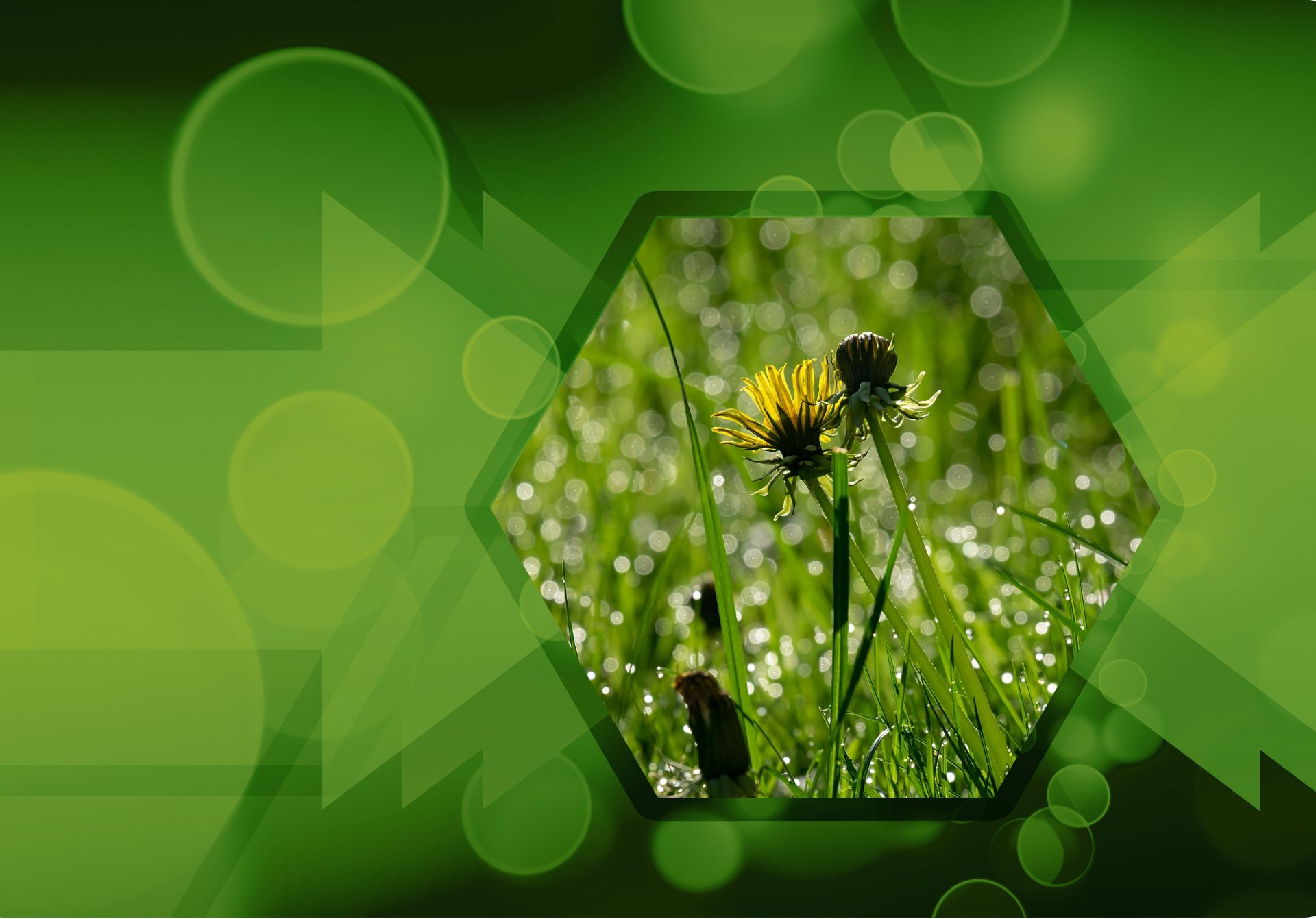 Green Energy Solutions in Kenya