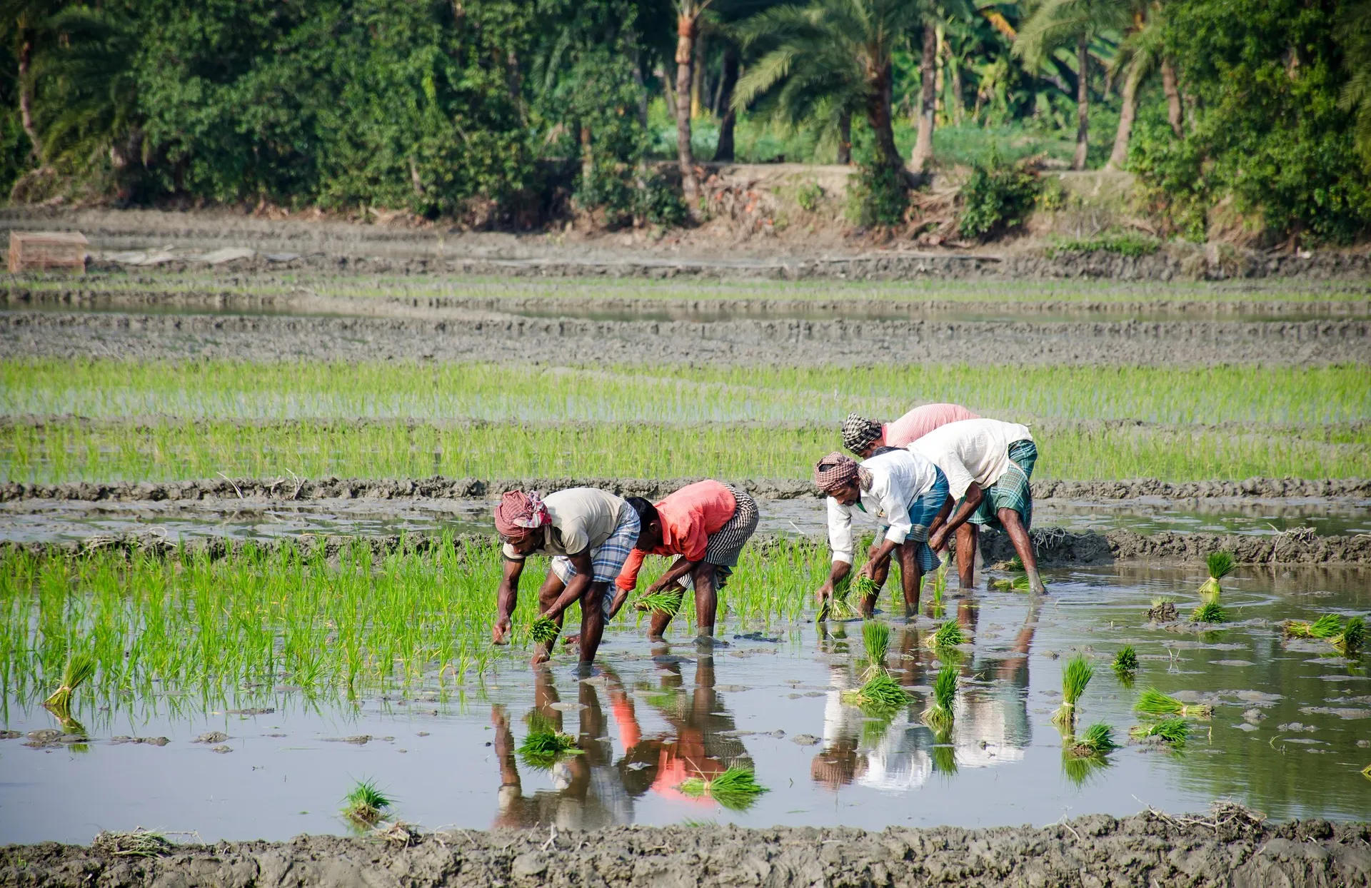 Sustainable Farming: Building a Climate-Resilient Kenya