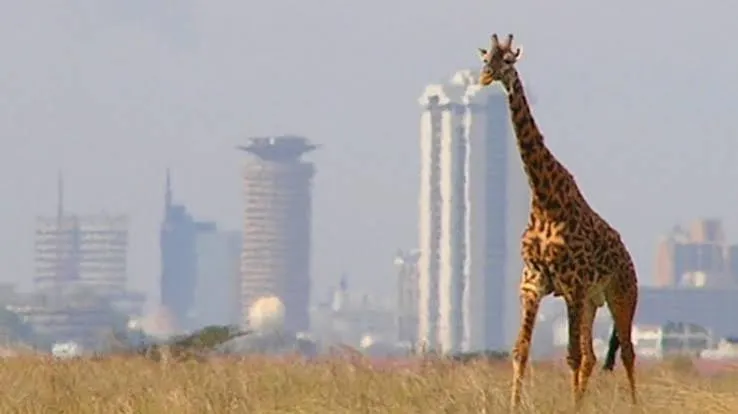 Beyond the Silicon Savannah: Turning Kenyan Innovation into Businesses